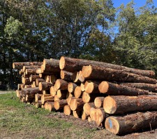 Welcome to Oleksak Lumber Company!